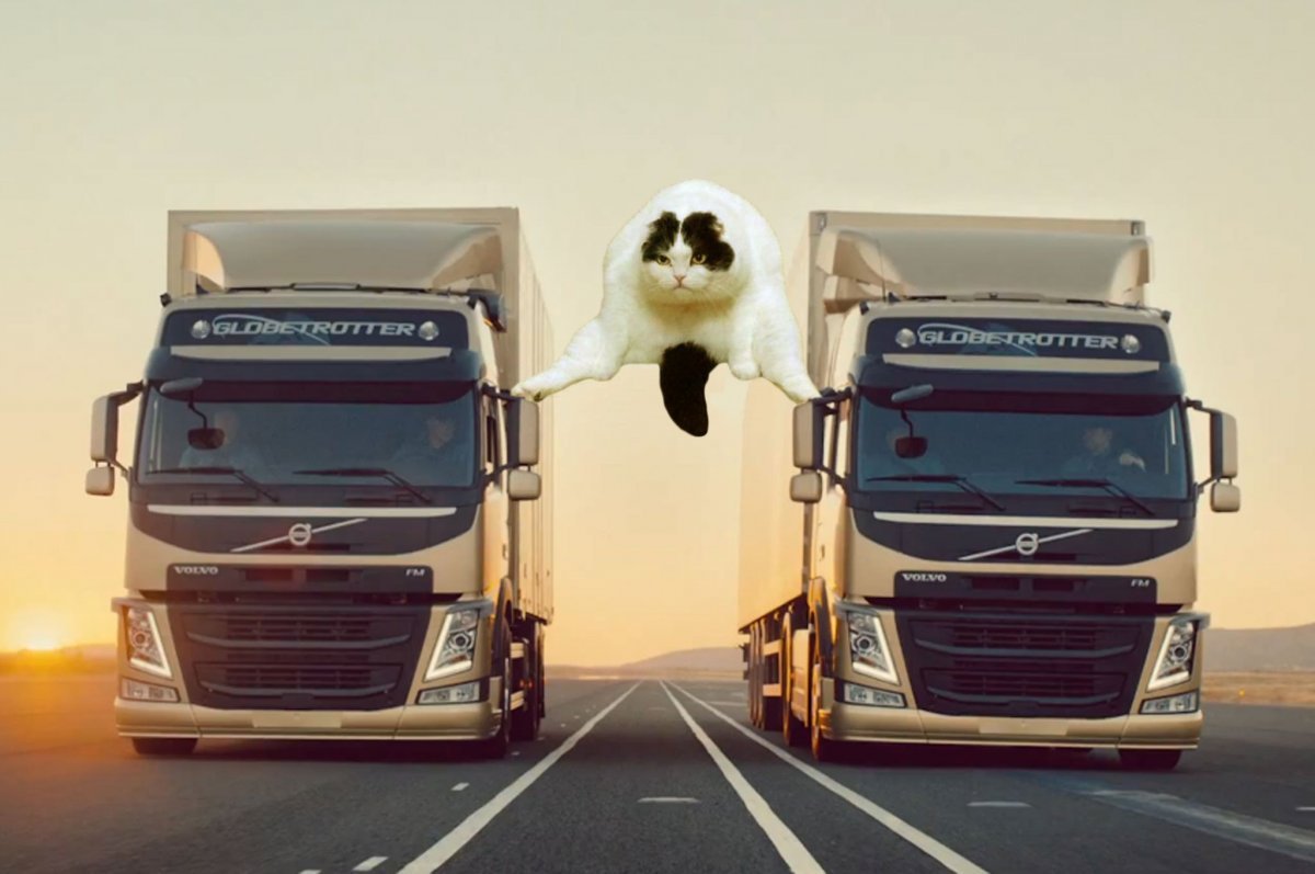 Грузовики Вольво Ван Дамм