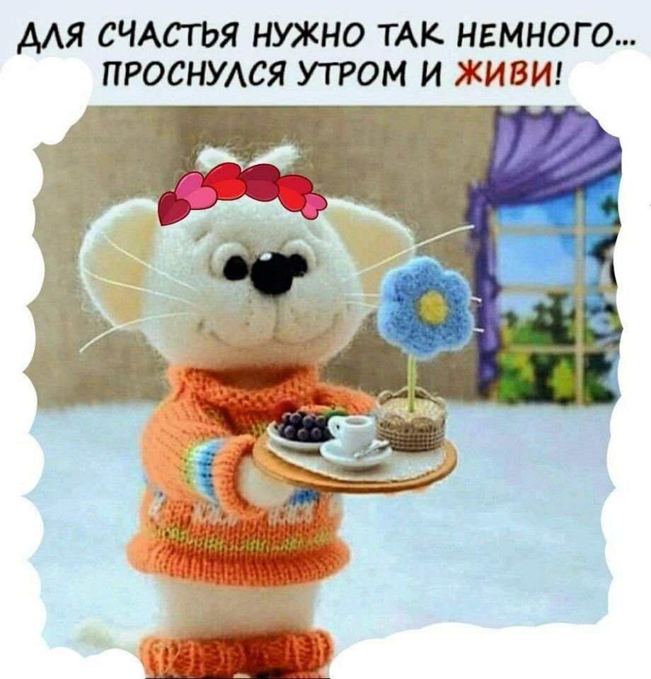 Хорошего дня и отличного настроени