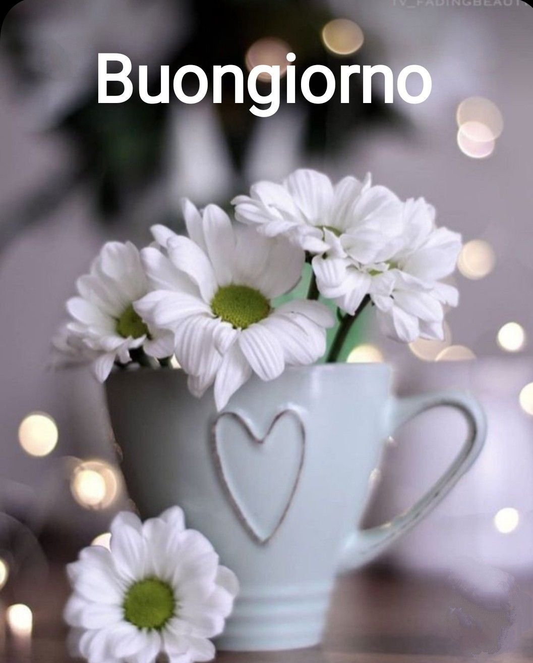 Доброе утро и отличного настроения