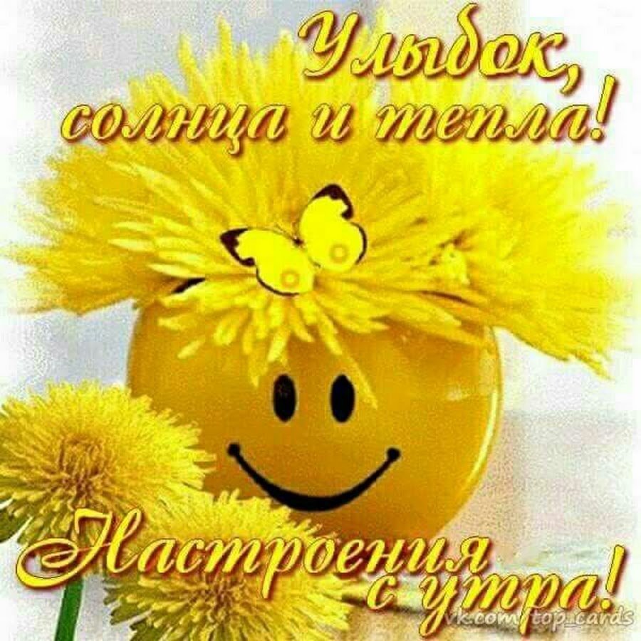 Пожелания доброго дня