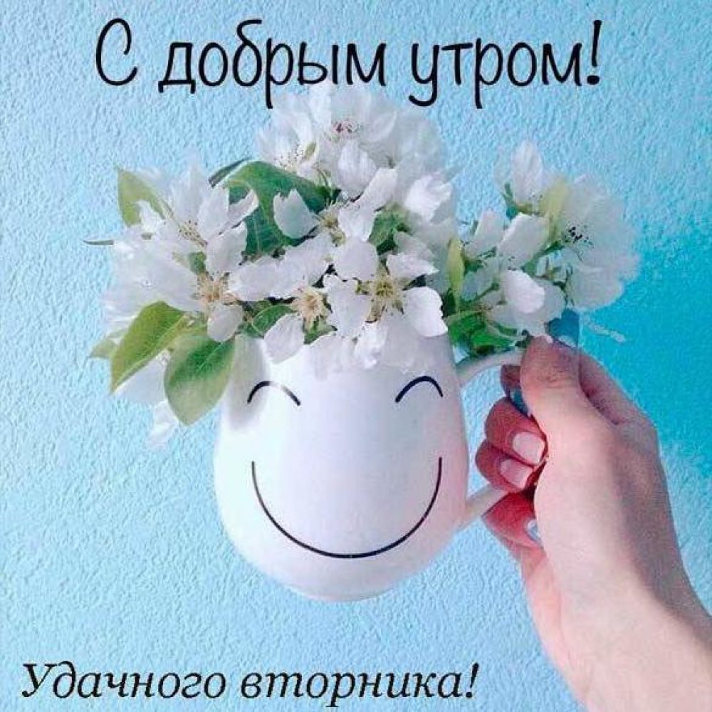 Привет доброго утра и удачного дня