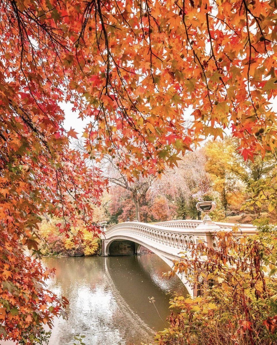 Красивая Золотая осень
