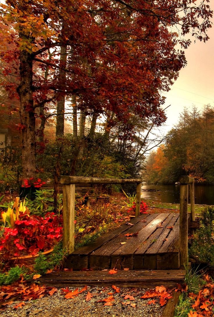 Красота осени