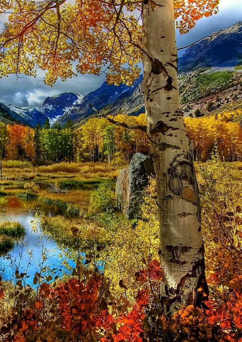 Золотая осень на пруду