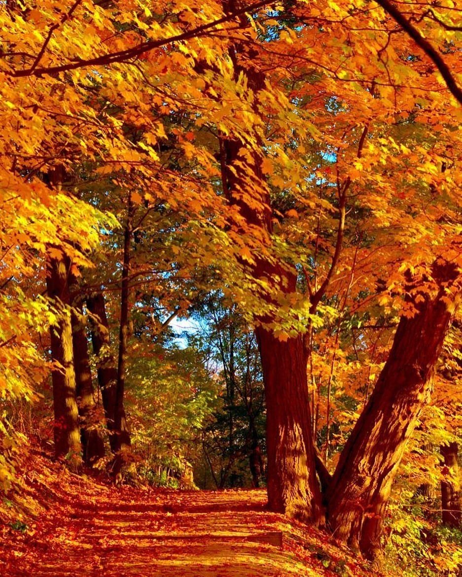 Природа по вертикали