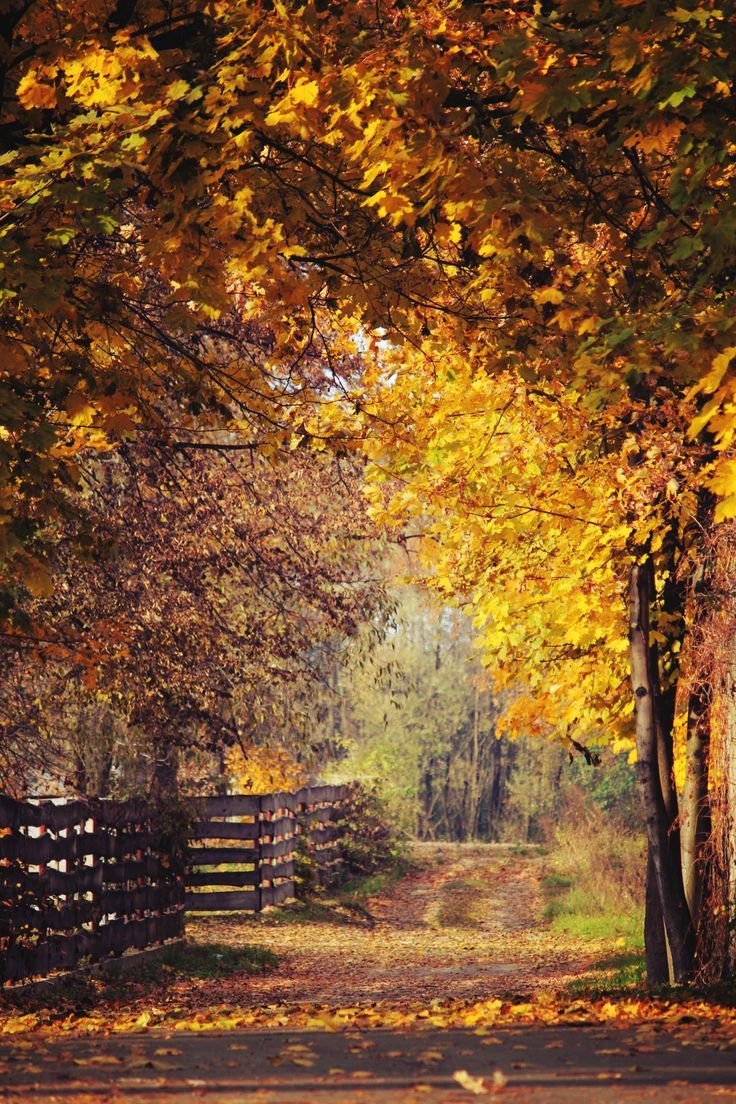 Осень в городе