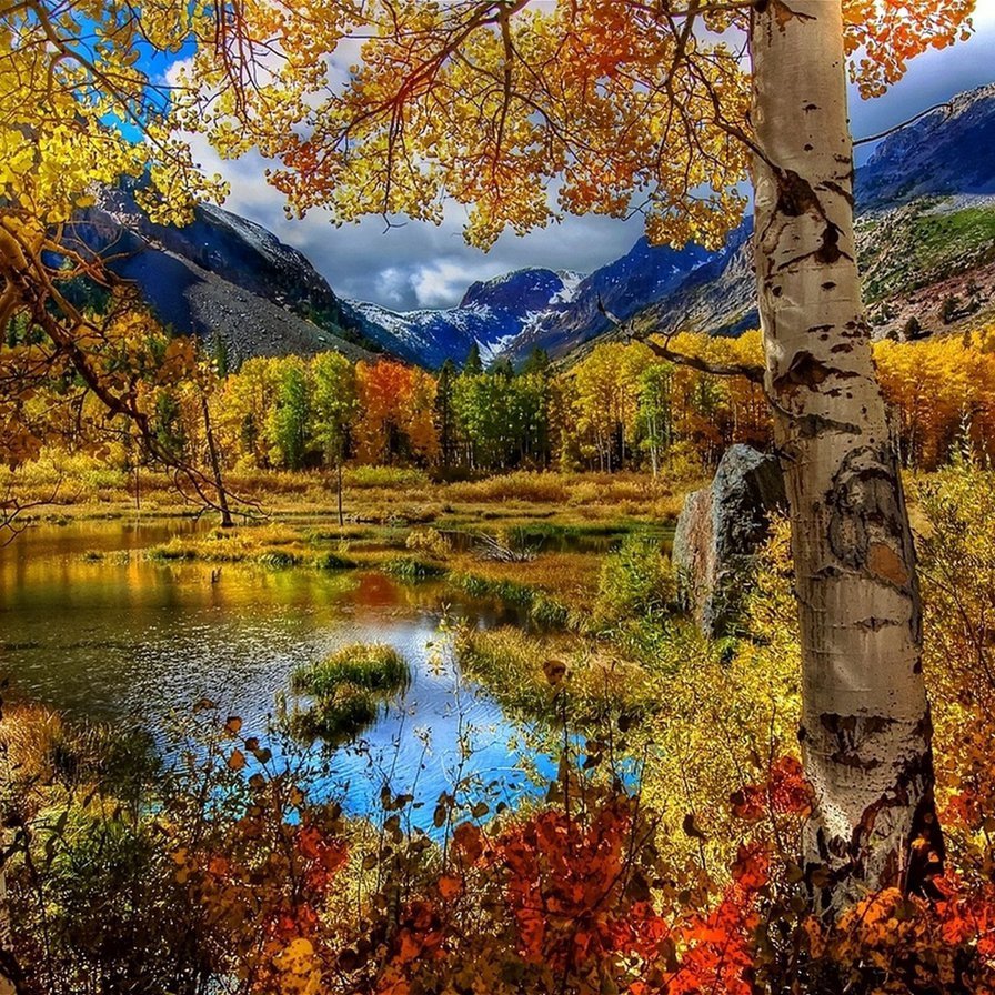 Золотая осень