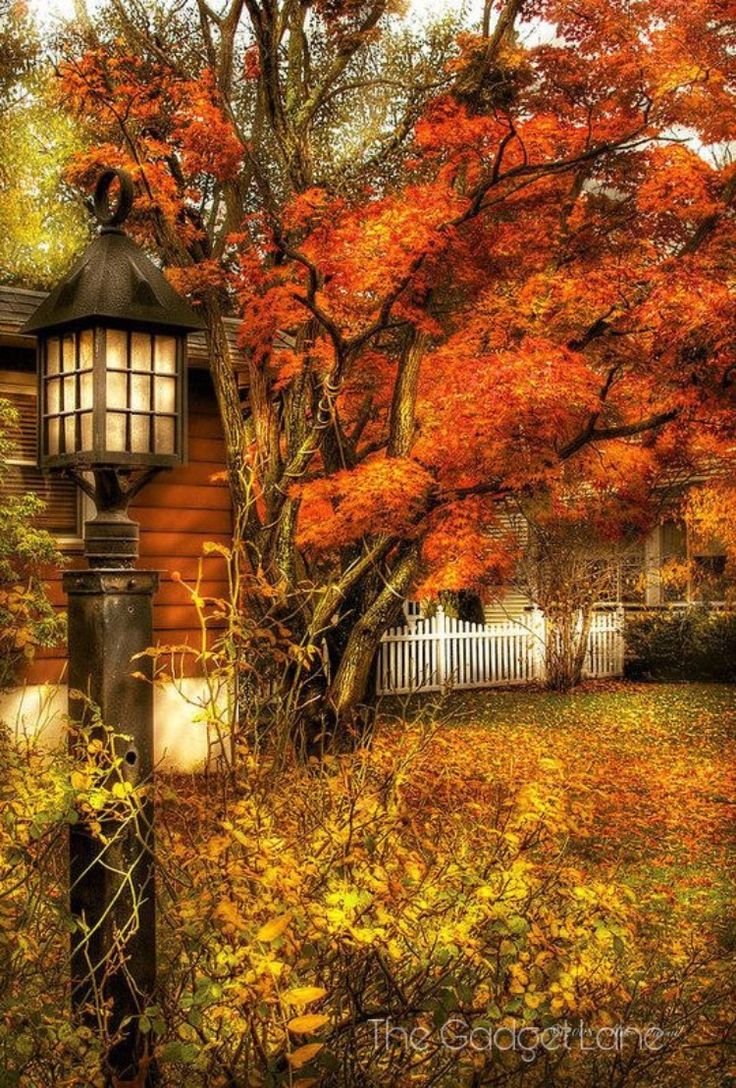 Осень горизонтальные