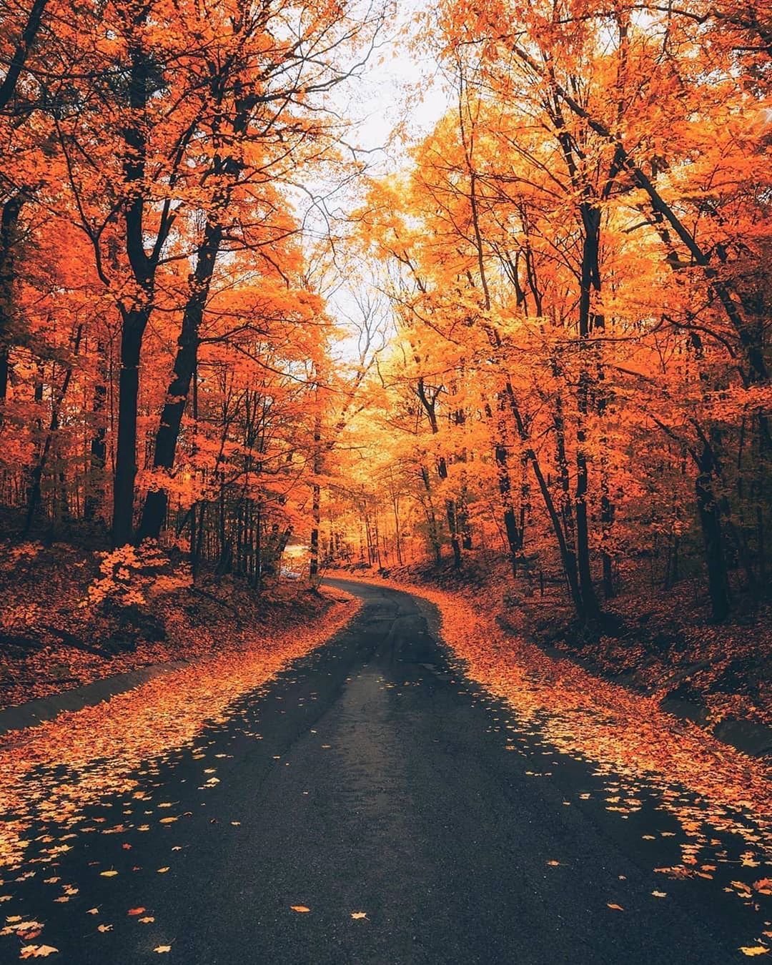 Сентябрь природа