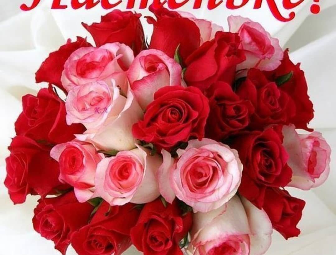 Поздравление Насте