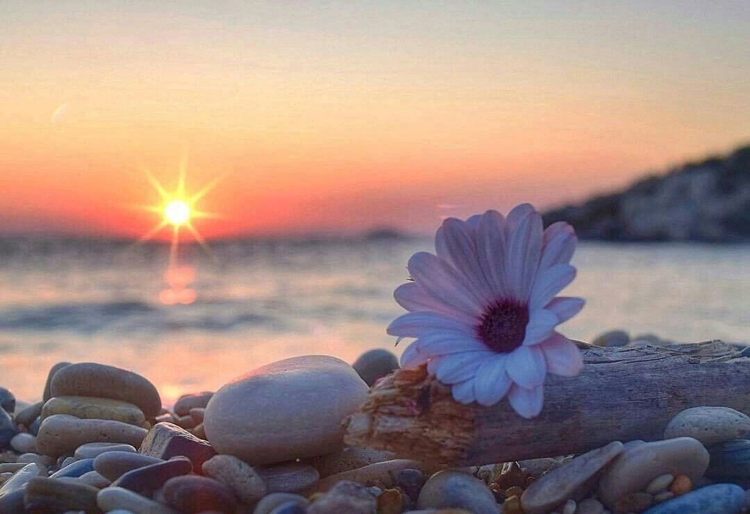 Позитивные цитаты