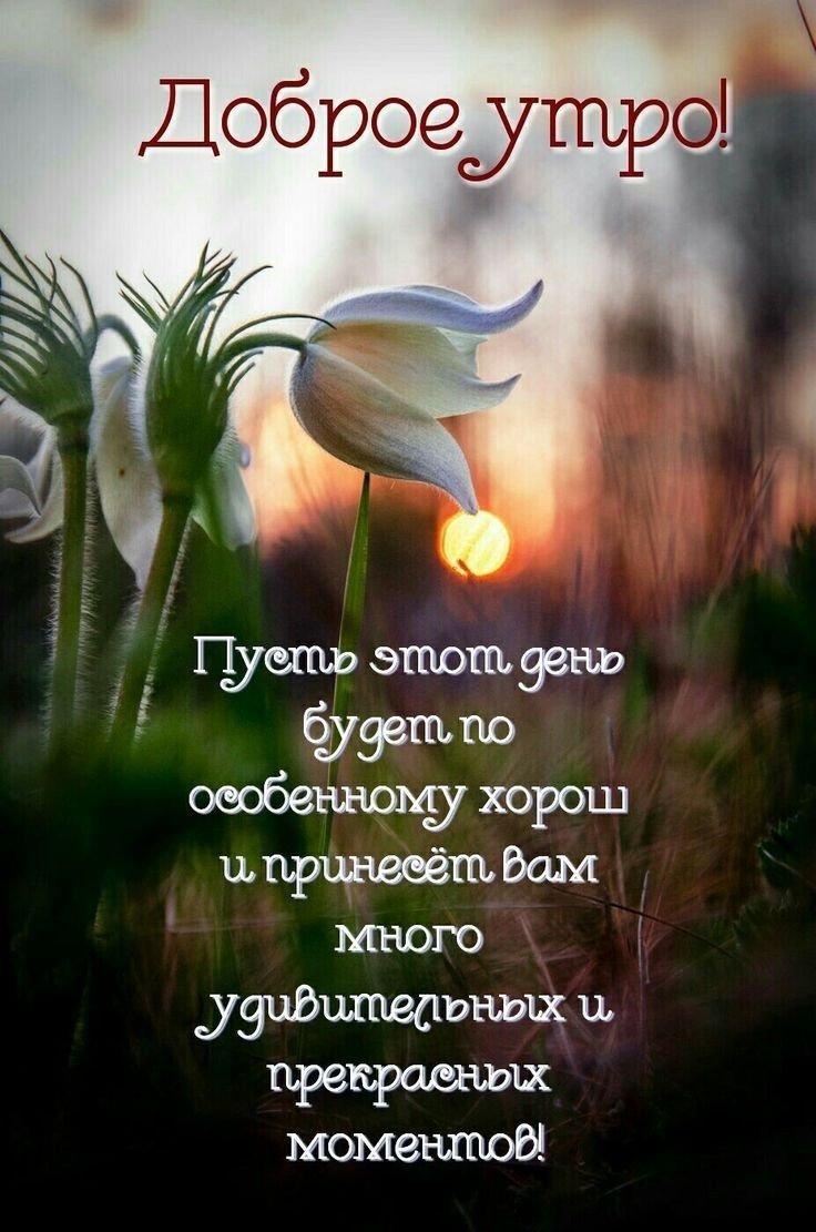 Картинки с добрым днем со смыслом жизни