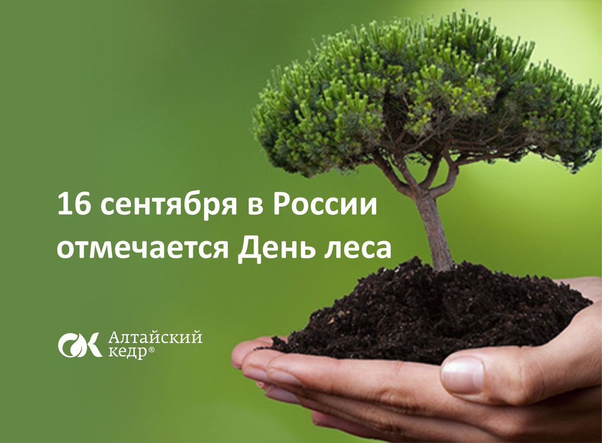 Международный день лесов рисунок