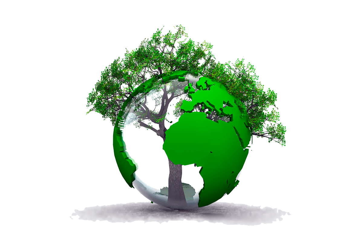 С днем работника лесного хозяйства