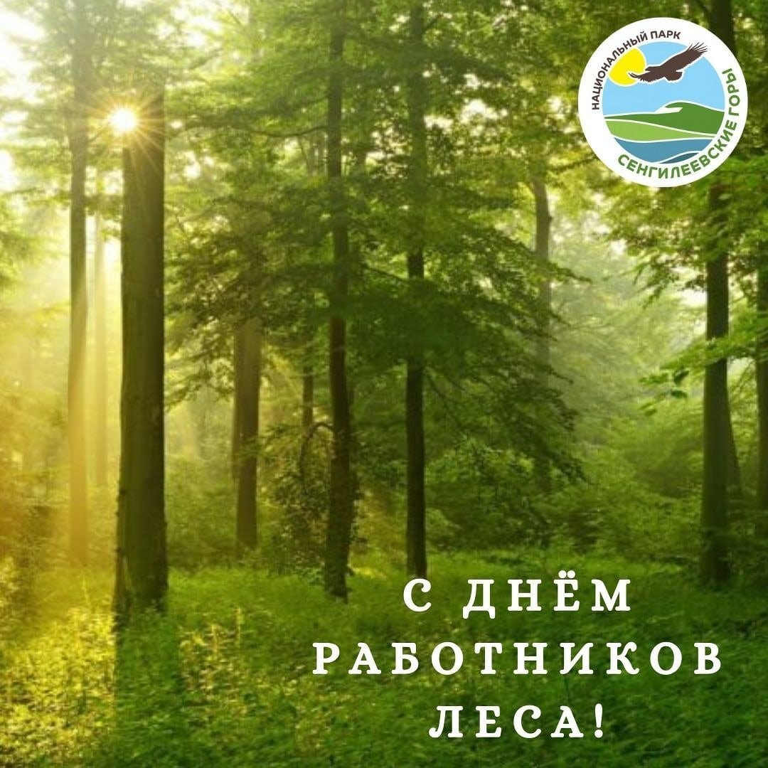 Экологический узор