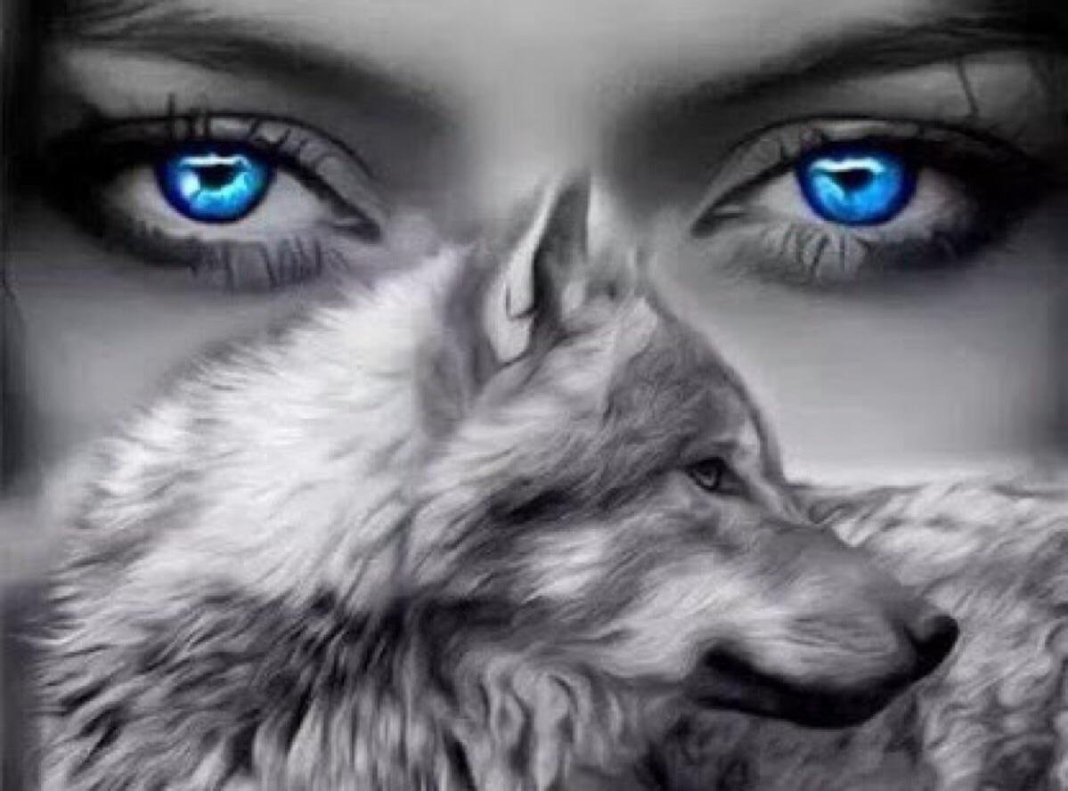 Девушка с глазами волка