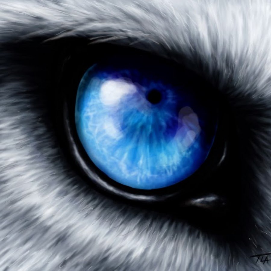 Голубые Волчьи глаза