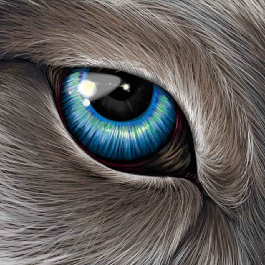 Волчьи глаза арт