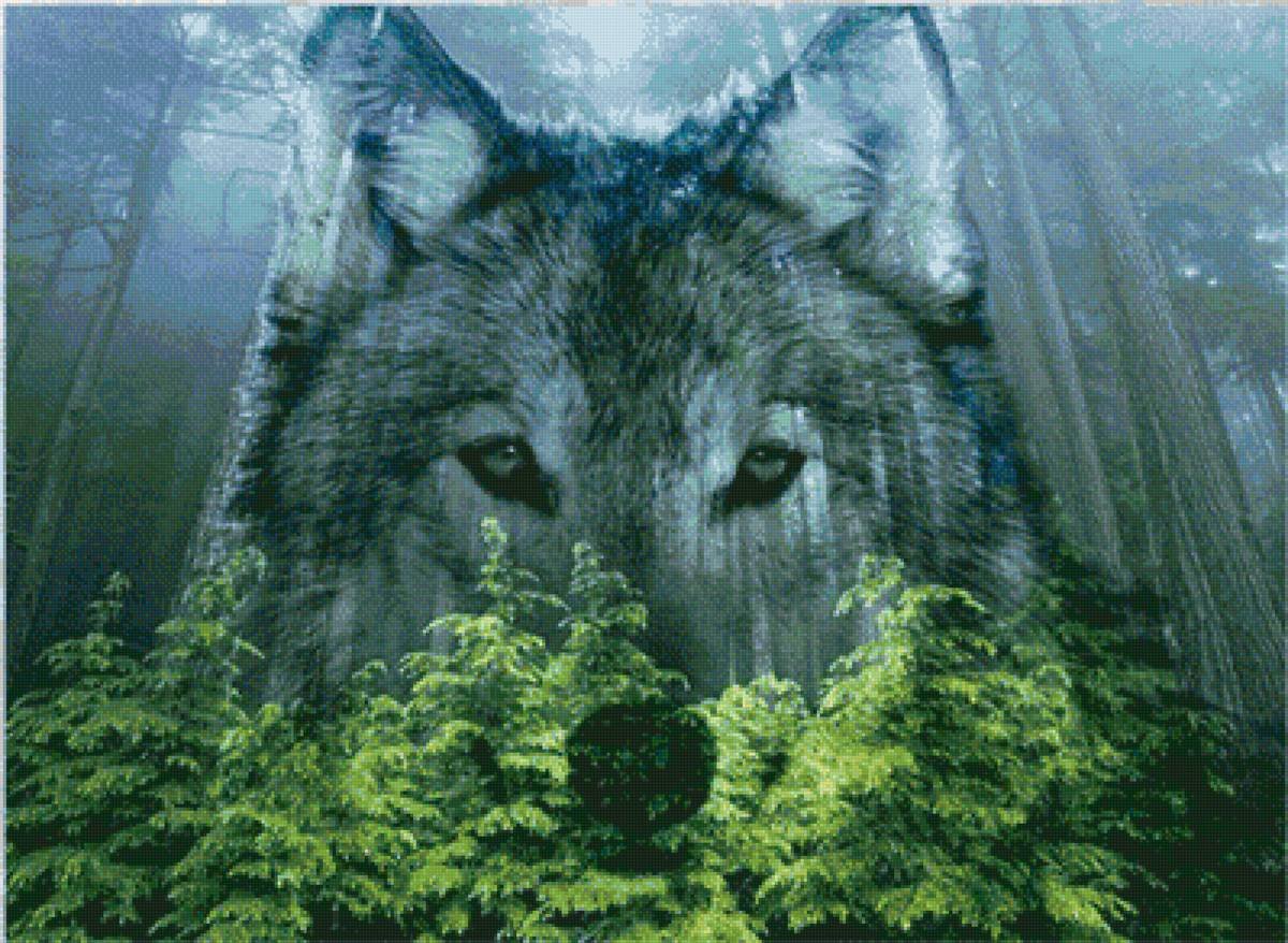 Волк в лесу