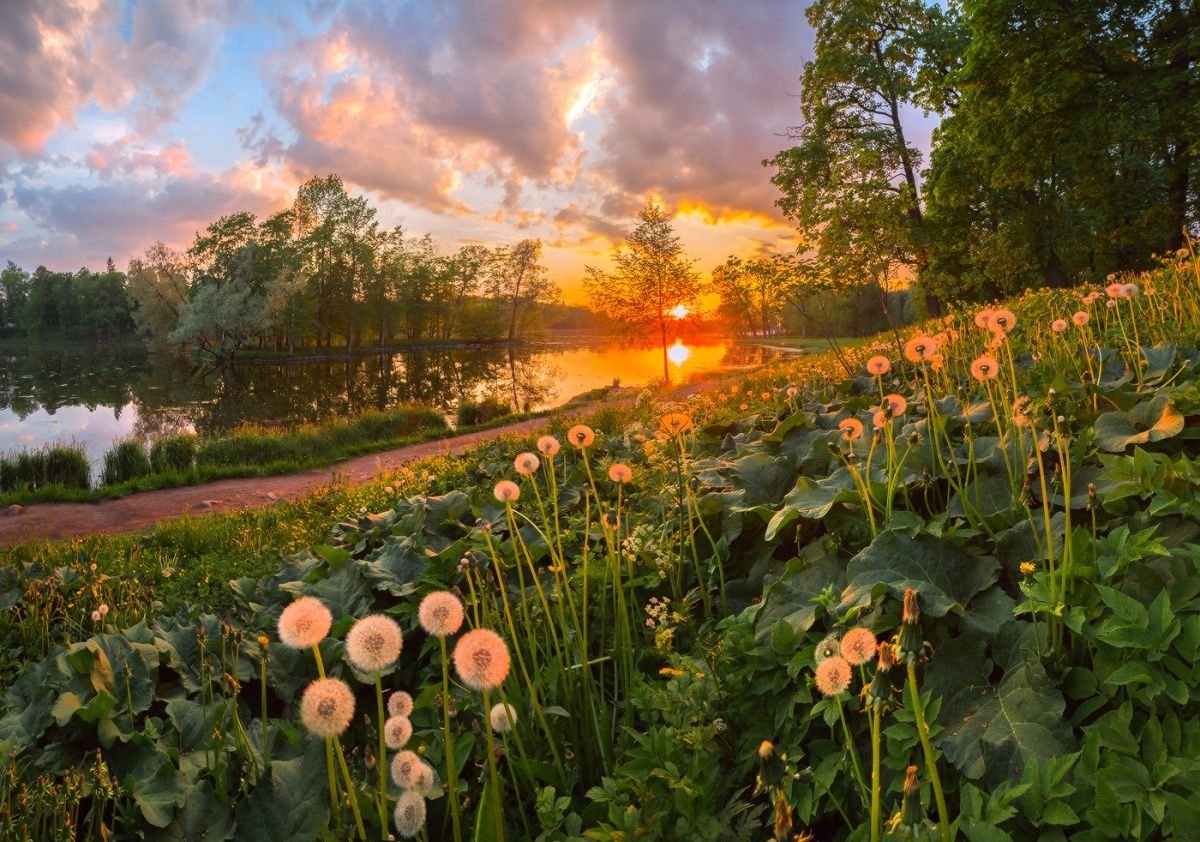 Девушка радость лето