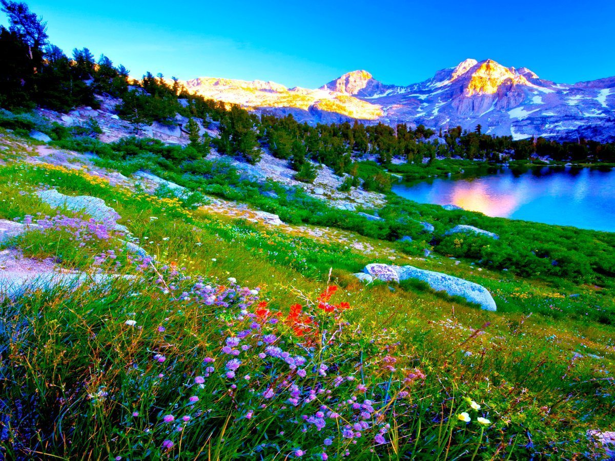 Сказочная природа