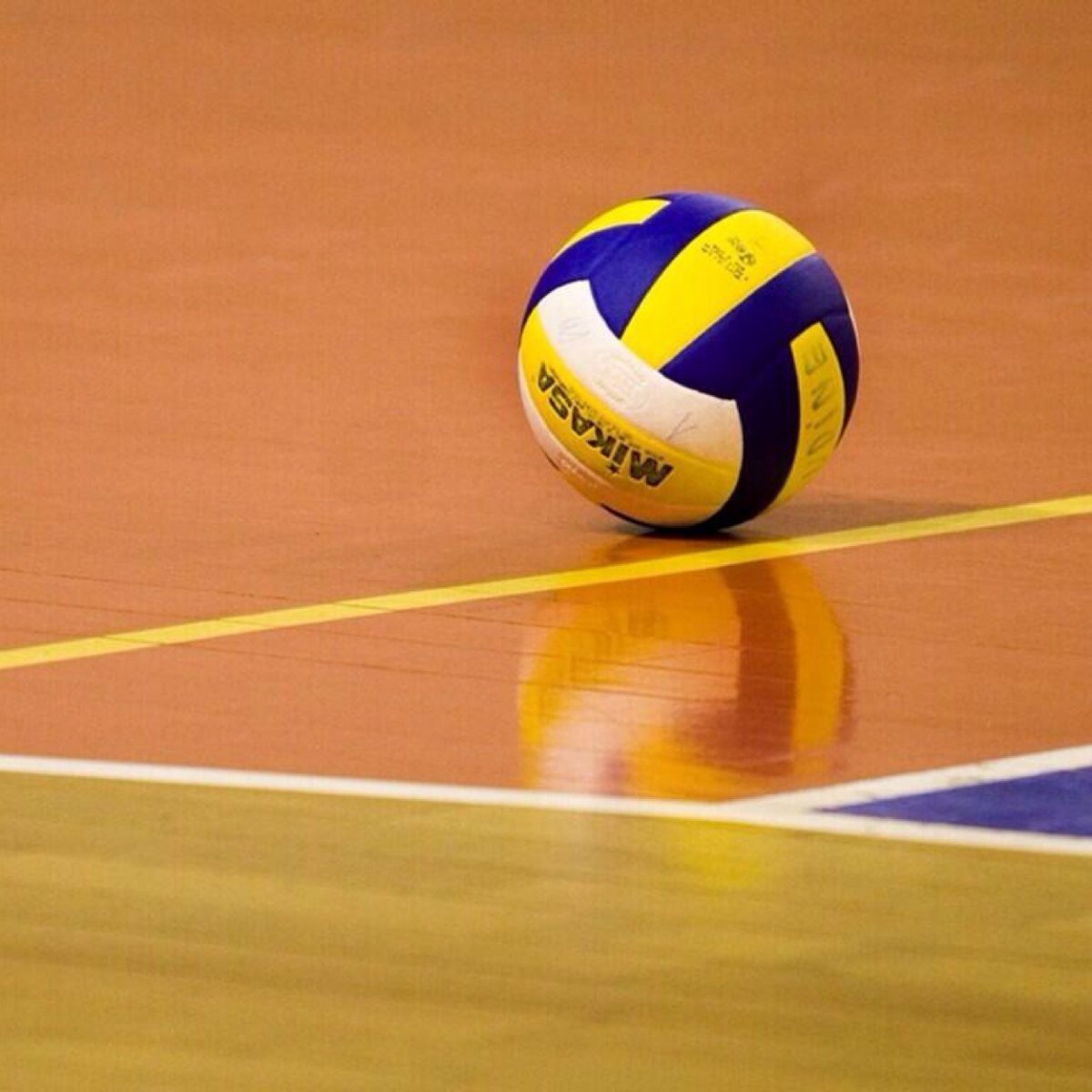 Волейбольный мяч с игроком