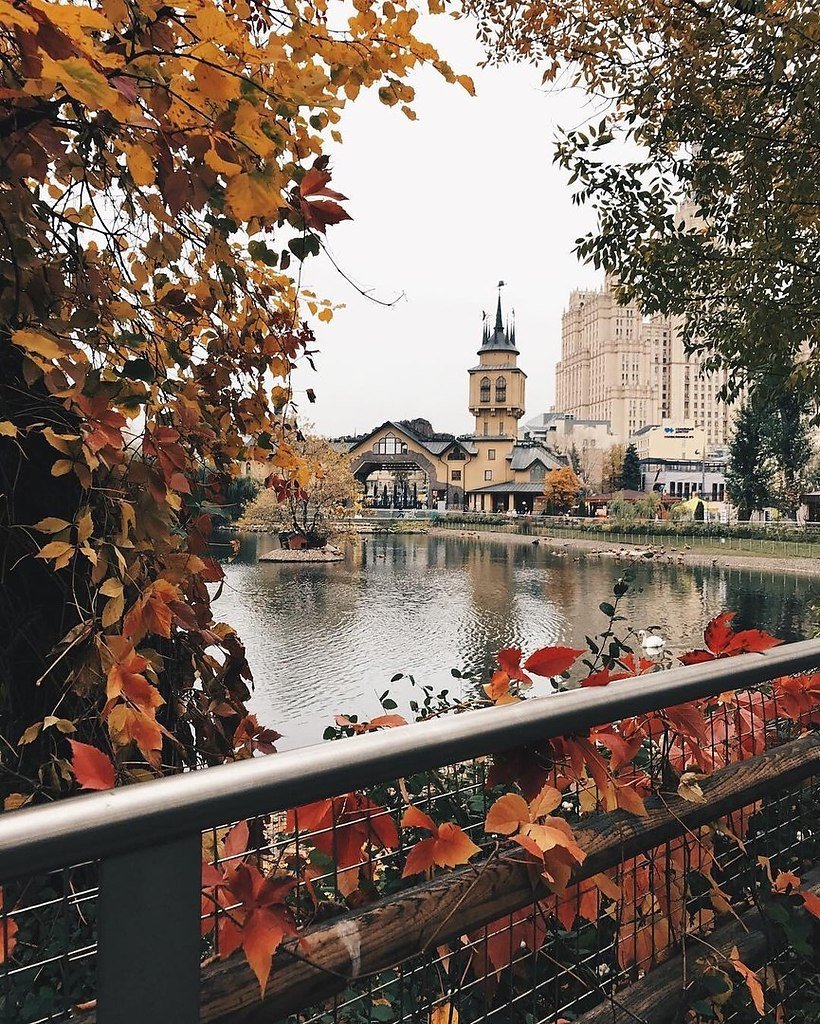 Московский зоопарк осень