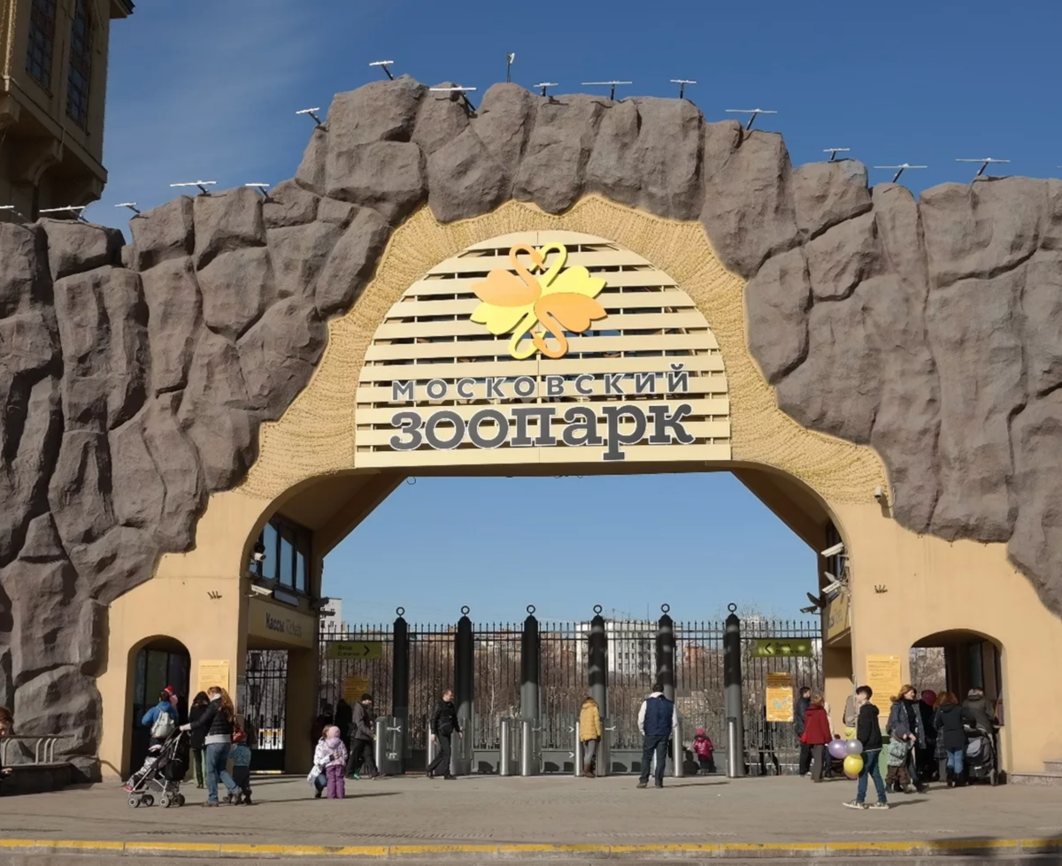 Московский зоопарк картинки