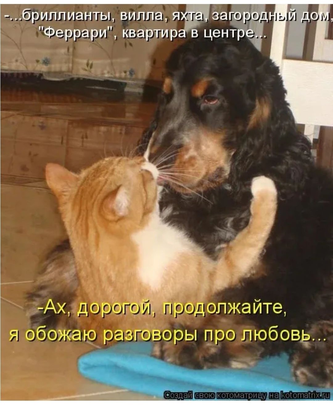 Прикольные животные с надписями