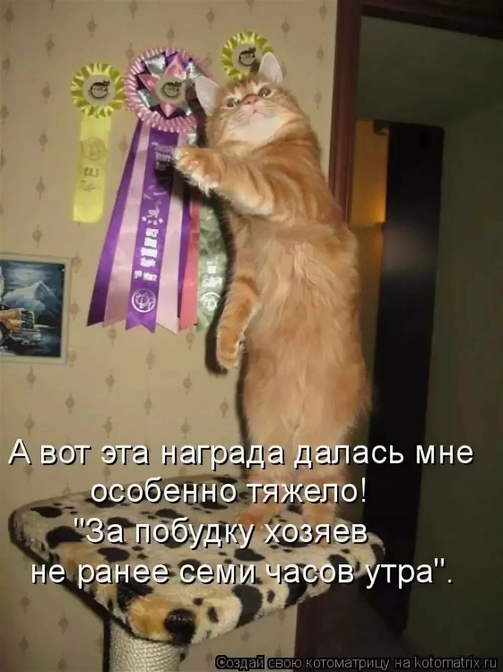 Мемные животные с надписями