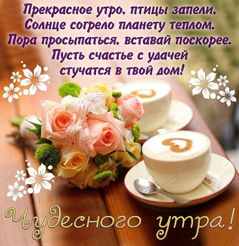 Красивые пожелания с добрым утром и хорошего дня