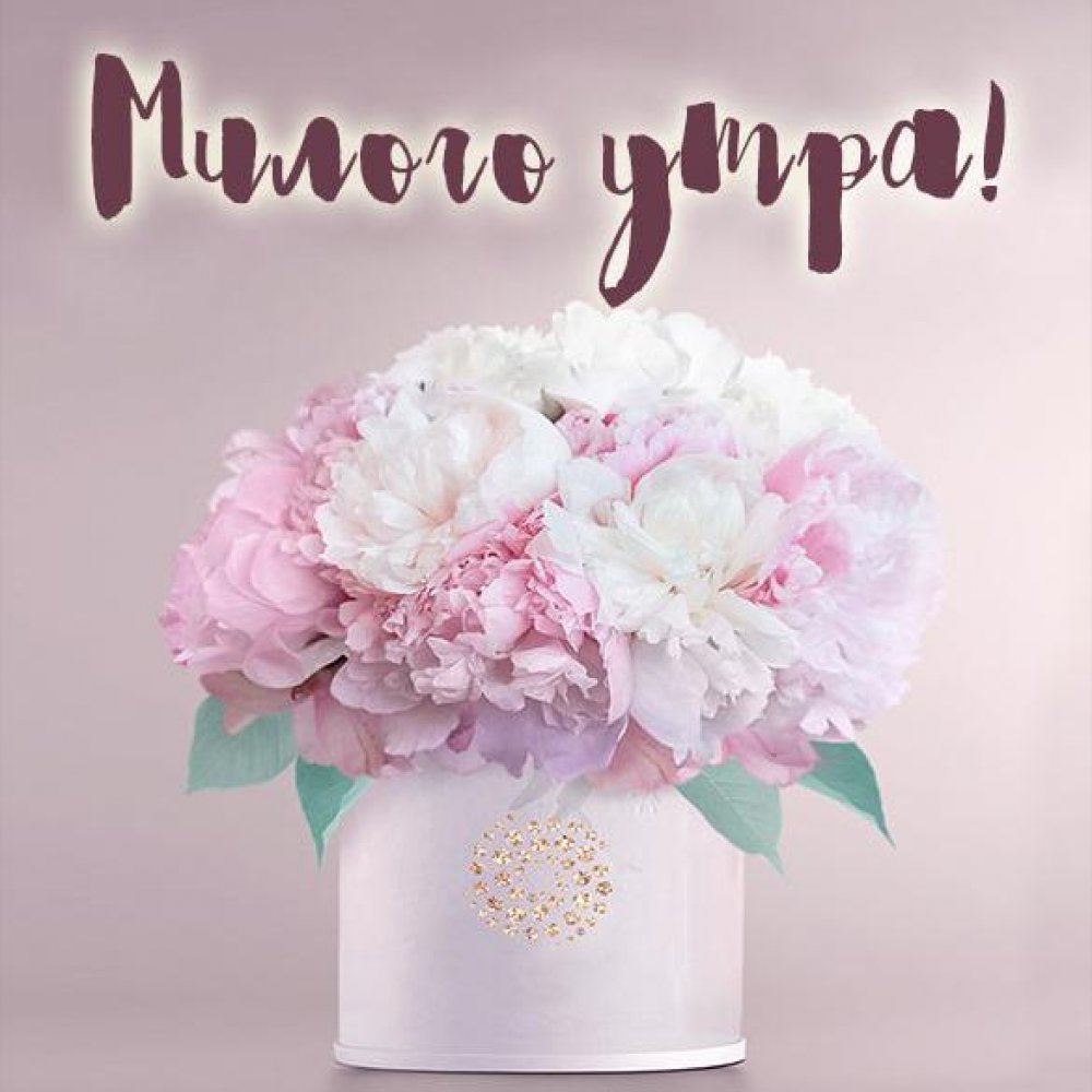 Доброе утро цветы