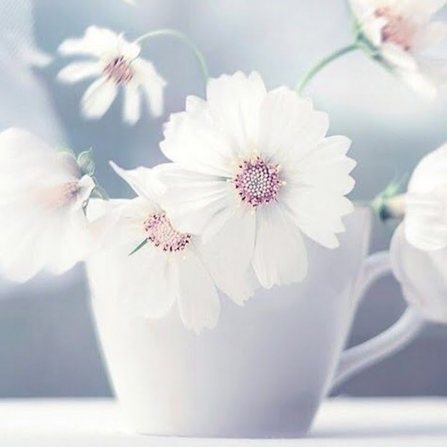 Лиличка с днем рождения