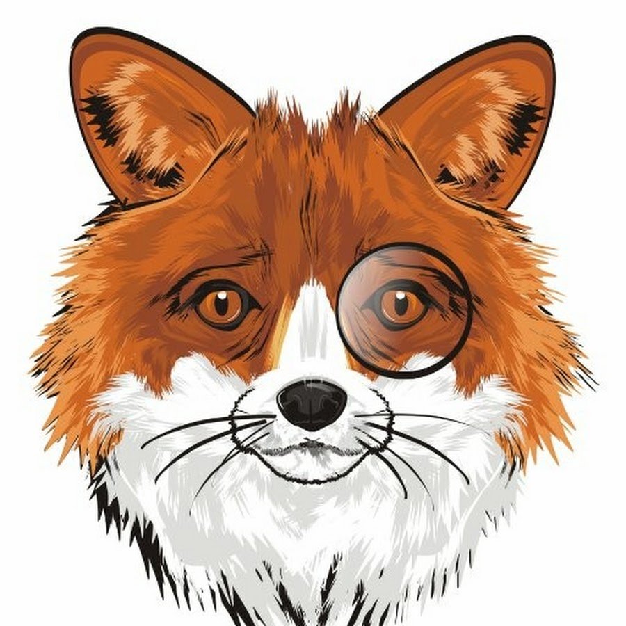 Лисы в солнечных очках