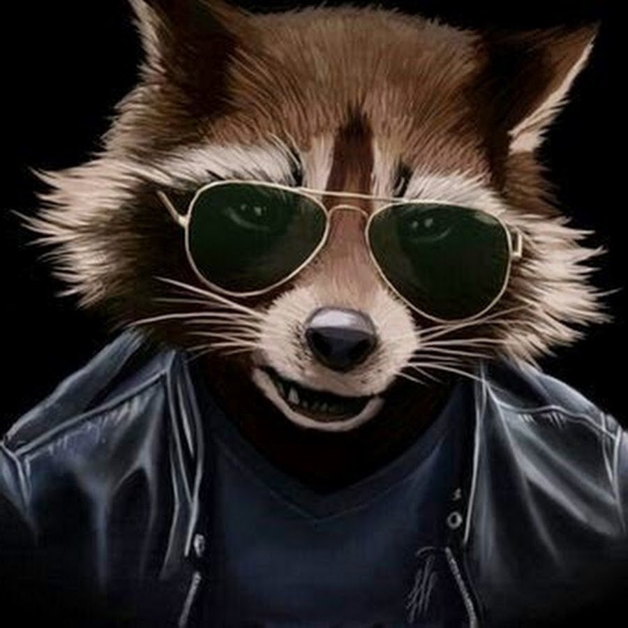 Крутой енот