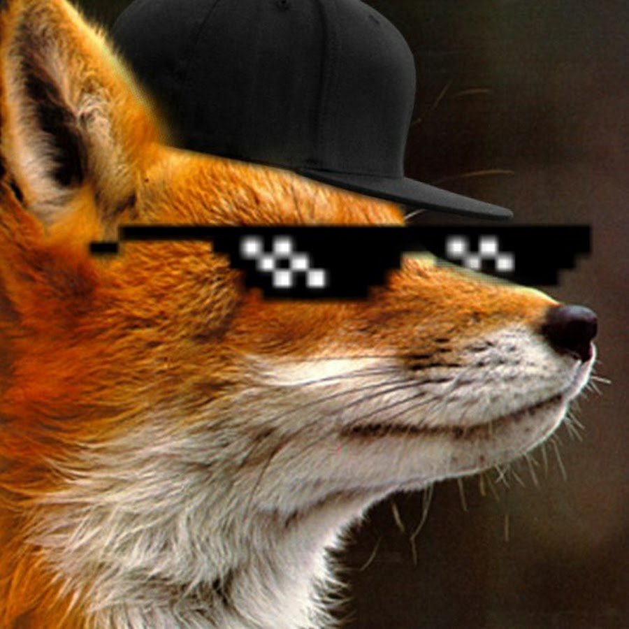 Шапка для группы в ВК лиса