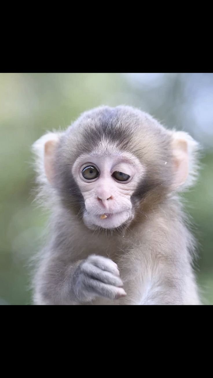 Открытка опять на ра оту