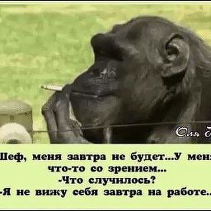 Я не вижу себя на работе