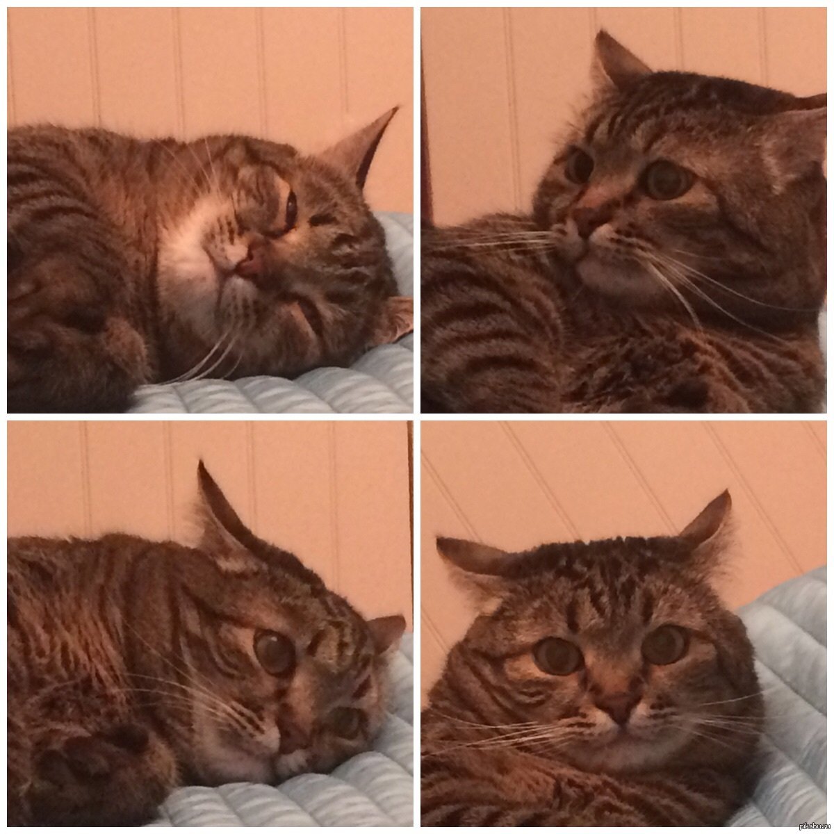 Завтра понедельник