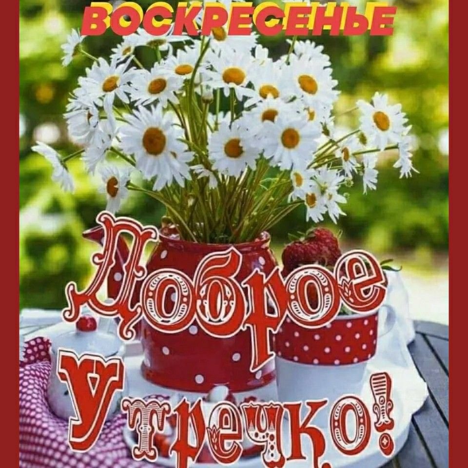 Доброе утро ромашки