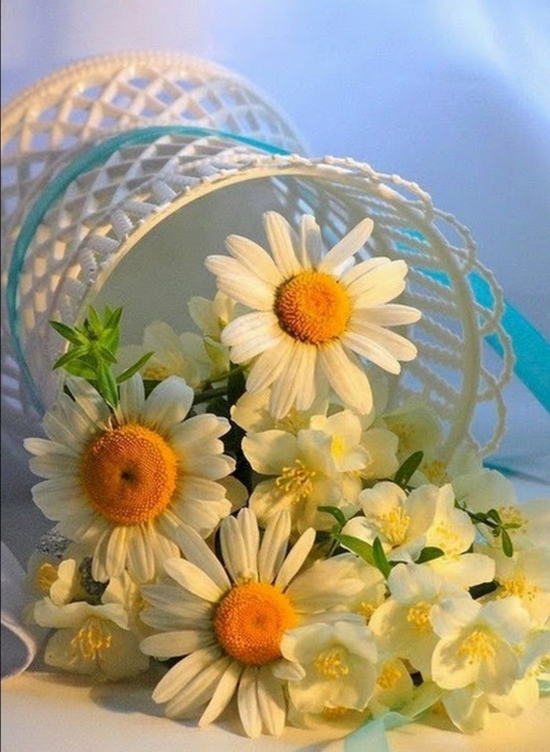 Доброе утро цветы ромашки