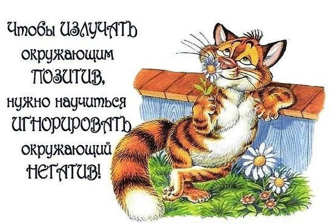 Позитивное настроение высказывания