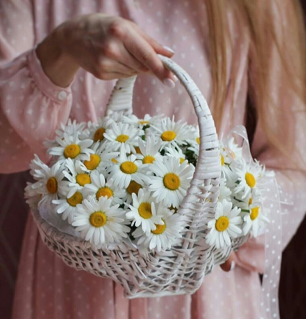 Букет ромашек с 8 марта