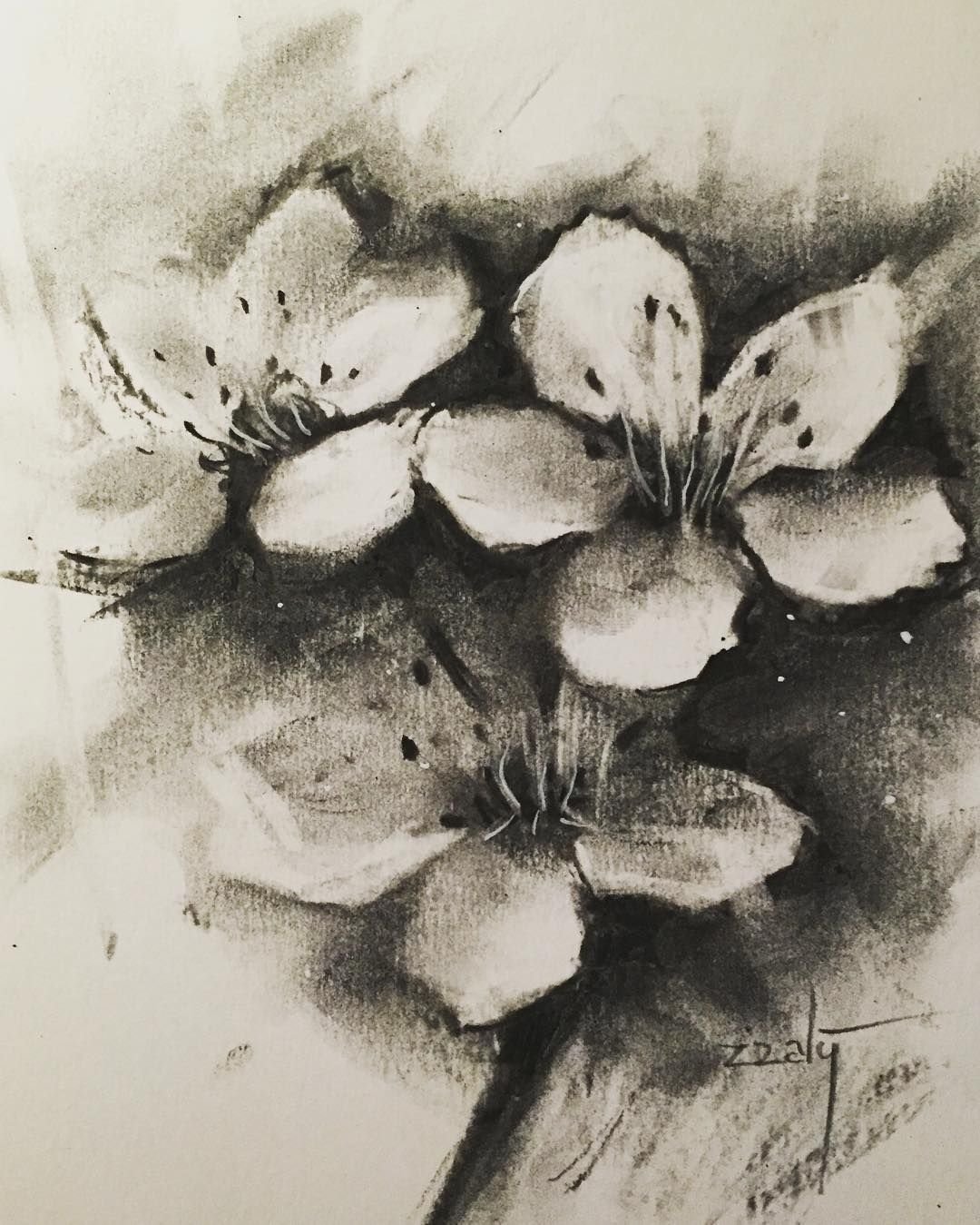 Этюды углем