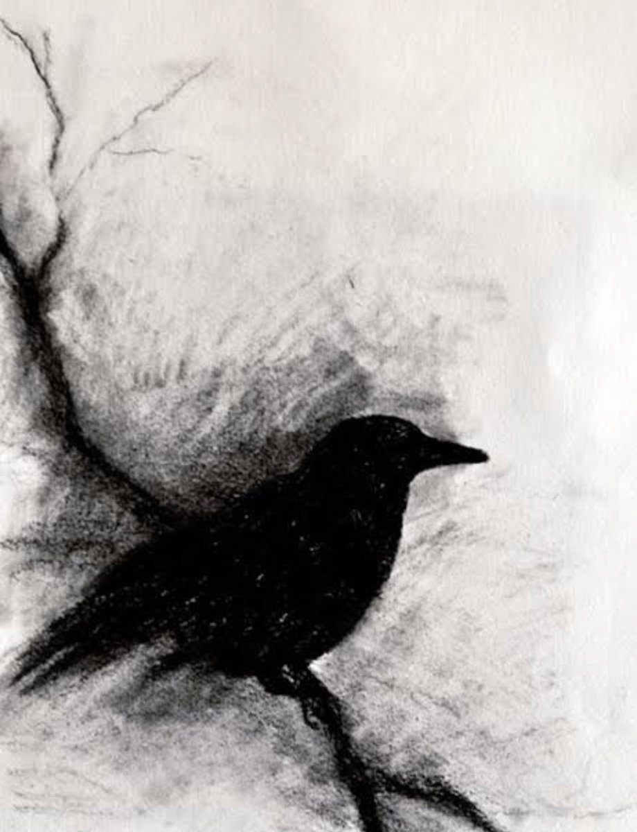 Рисунки углем для начинающих