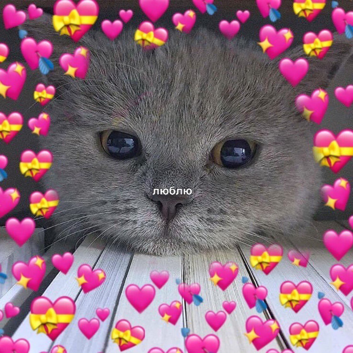 Доброе утро в сиреневых тонах