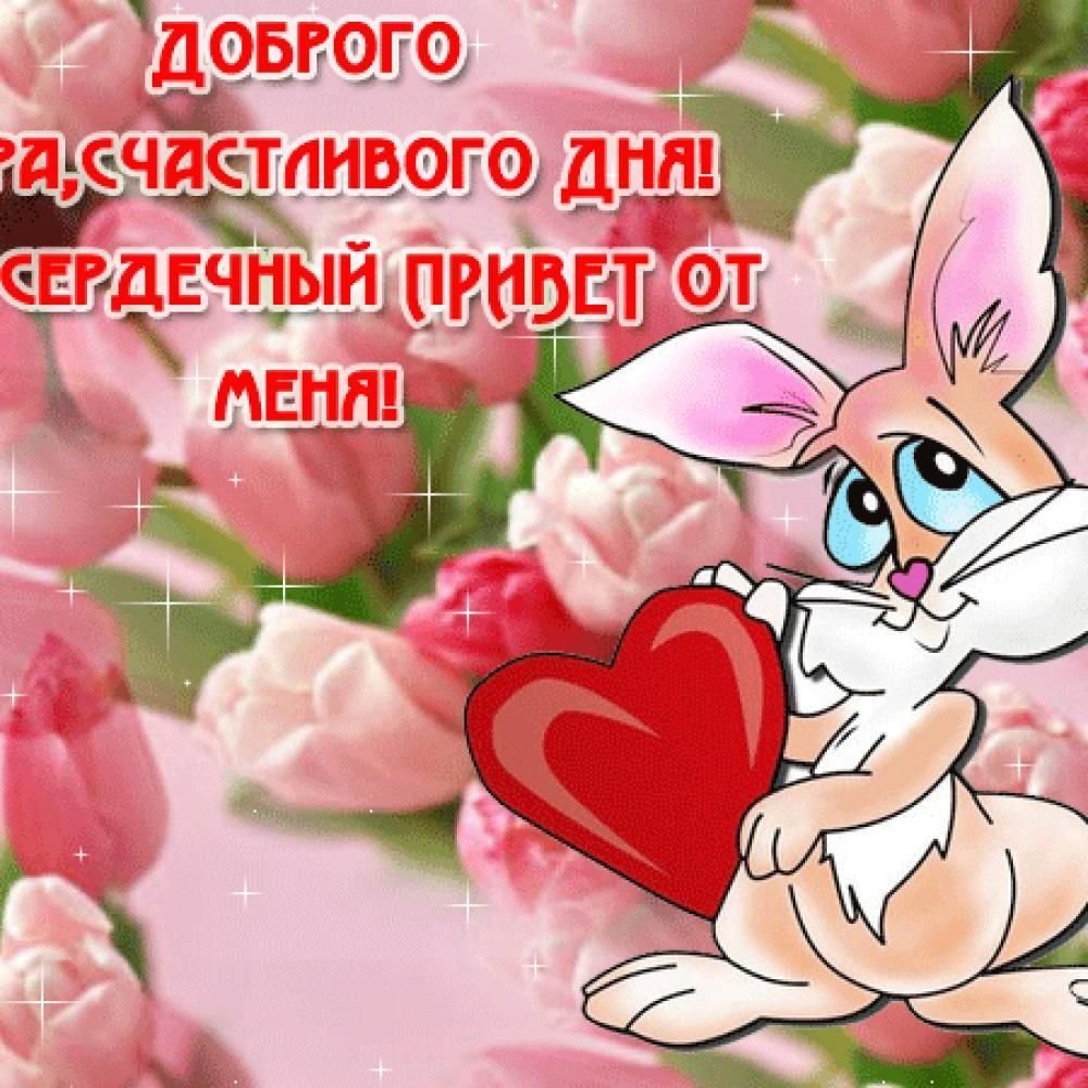 Спасибо с добрым утром