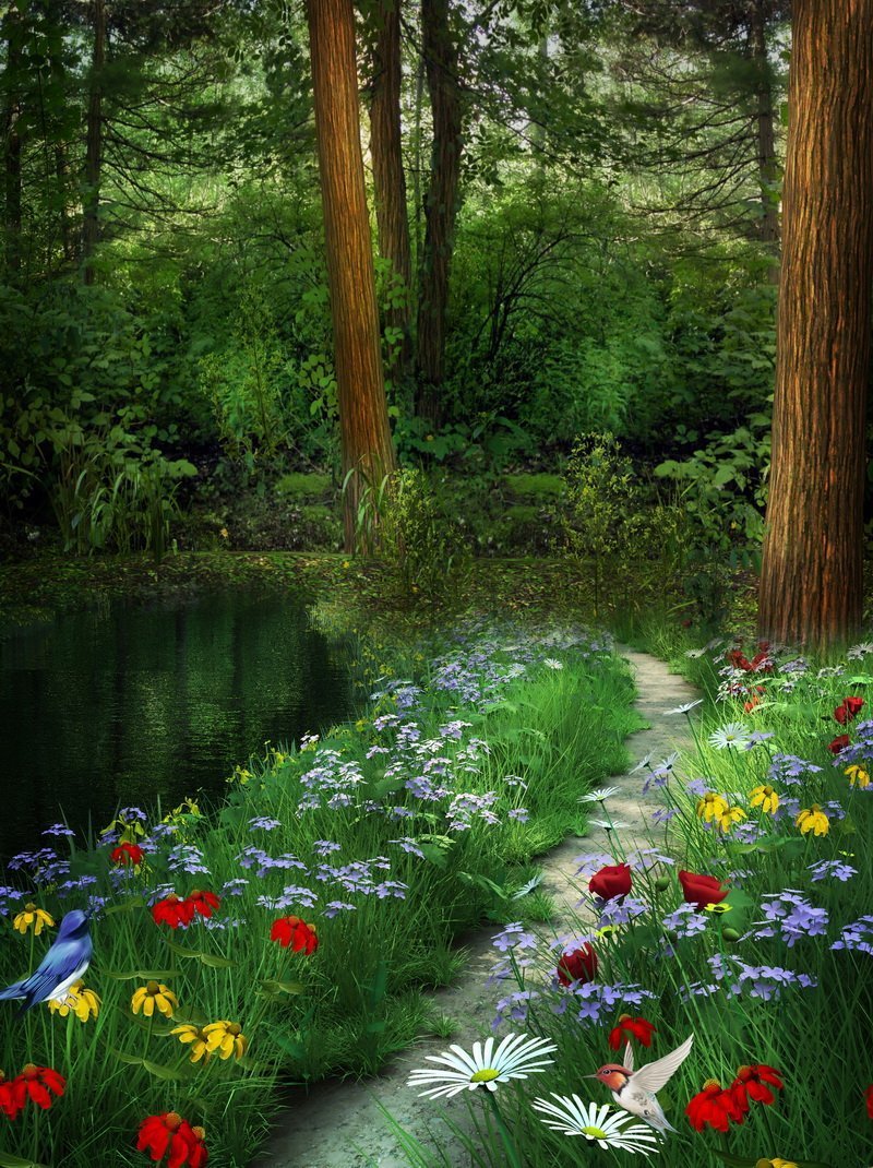 Летняя Поляна в лесу