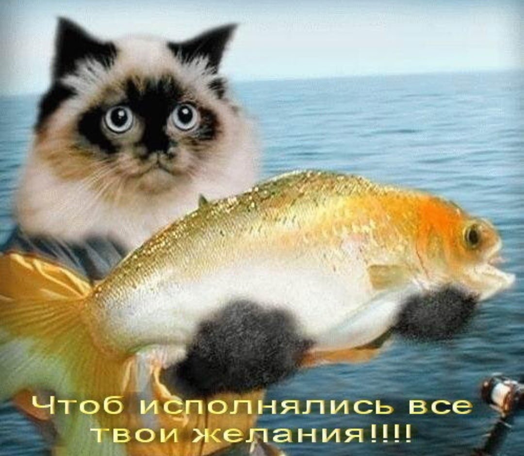 Пусть все желания исполняются