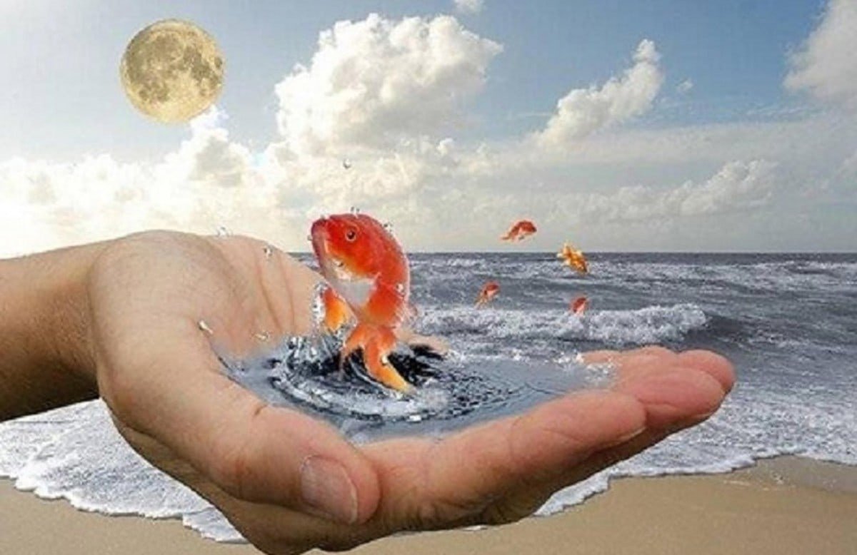 Пусть мечты и желания исполняются